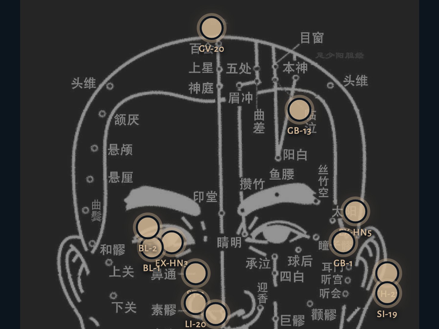 The body atlas: a chart of the face with its acupuncture points marked and named in Chinese.